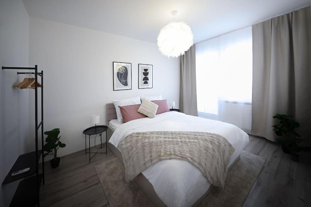 Zikovka Apartment
